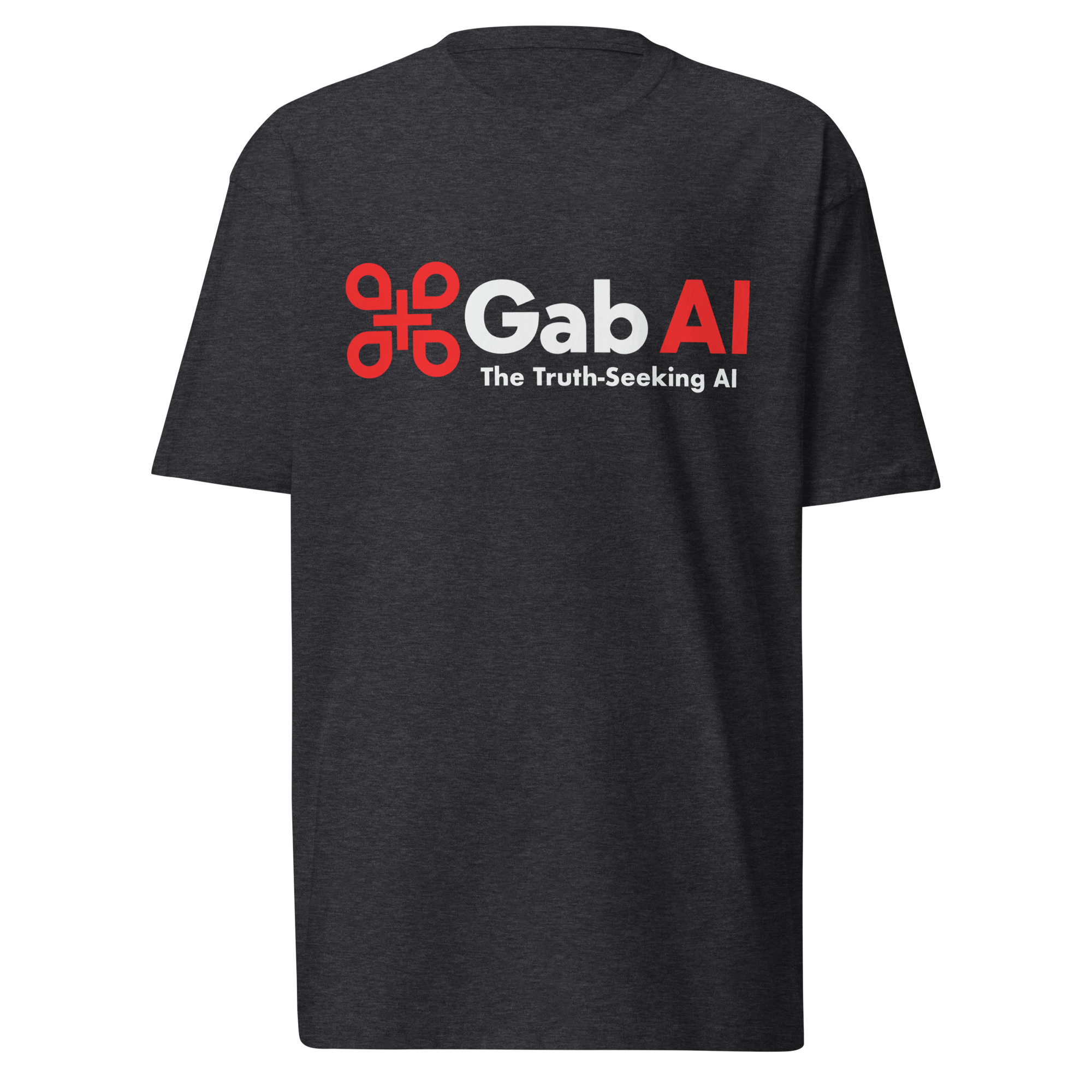 The Truth-Seeking AI T-Shirt / Charcoal Heather / S
